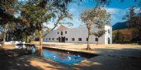 Groot Constantia swimming pool